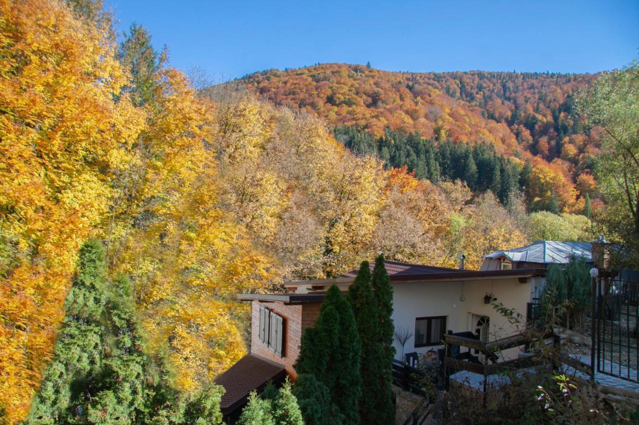 Casa Flandria Sinaia Exterior foto