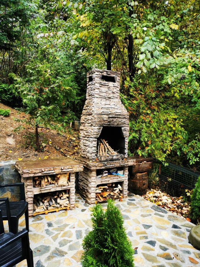 Casa Flandria Sinaia Exterior foto